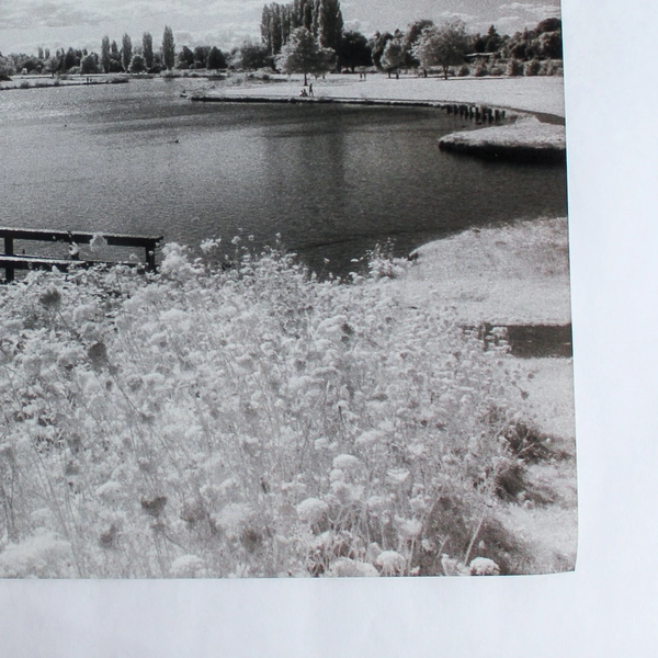 Vintage 11x14 Black & White Photograph of Pond Bridge Nature Park