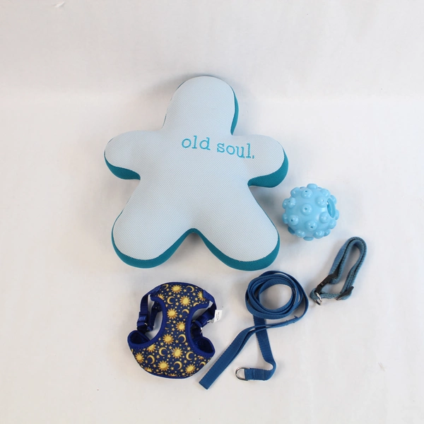 Lot of Small Dog Supplies: Plush Toy, Ball, Collar, Harness & Leash