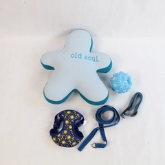 Lot of Small Dog Supplies: Plush Toy, Ball, Collar, Harness & Leash