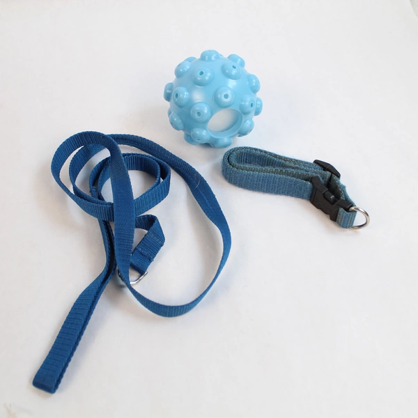 Lot of Small Dog Supplies: Plush Toy, Ball, Collar, Harness & Leash