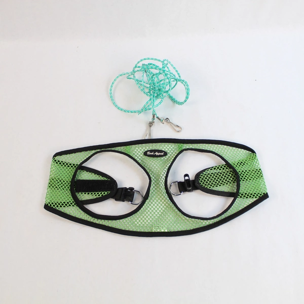 Lot of Dog Supplies: XL Yellow Raincoat & Green Mesh Harness with Leash