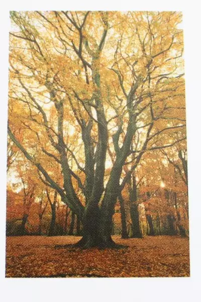 Lot of 19 Vintage Ghandi Quote Blank Greeting Cards - Good Condition