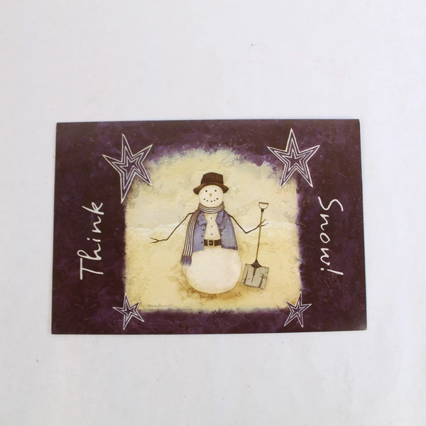 Lot of 17 Jane Carroll "Think Snow" Christmas Cards & Envelopes - Unused