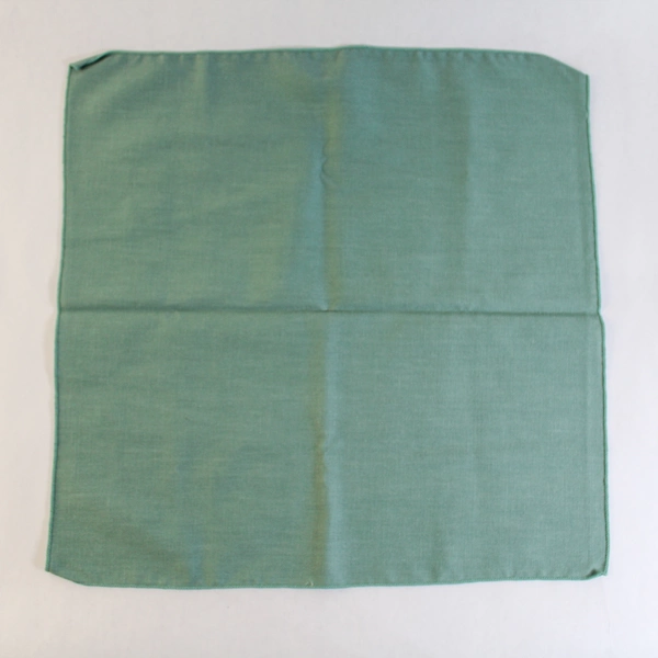 Green Beige Gold Holiday Placemat & Napkin Set - Good Pre-Owned Condition