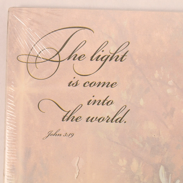 Vintage Leanin' Tree 1999 Christmas Stationery Set John 3:19 Sealed 18 Sheets