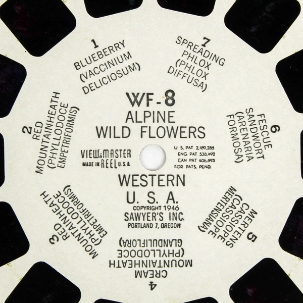 Vintage View-Master WF8 Alpine Wild Flowers Slide Reel - Good Condition