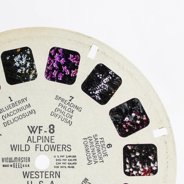 Vintage View-Master WF8 Alpine Wild Flowers Slide Reel - Good Condition