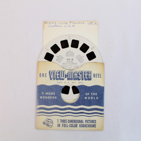Vintage ViewMaster WF6 Alpine Wild Flowers Slide - Collectible Reel USA
