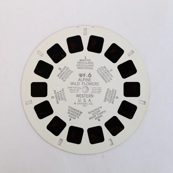 Vintage ViewMaster WF6 Alpine Wild Flowers Slide - Collectible Reel USA