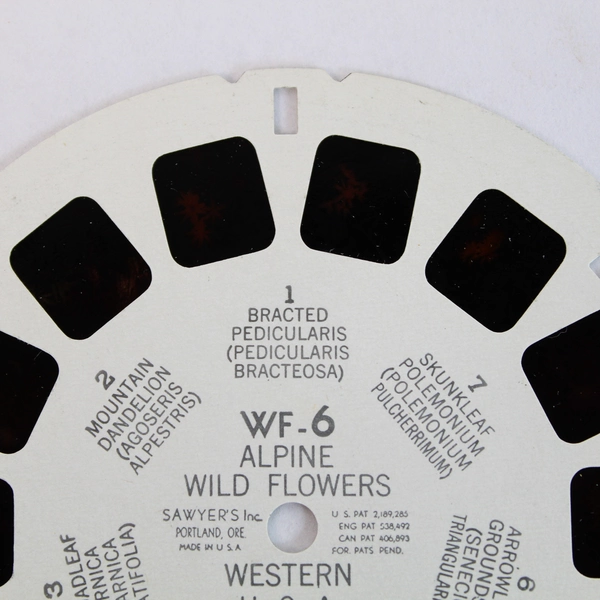 Vintage ViewMaster WF6 Alpine Wild Flowers Slide - Collectible Reel USA