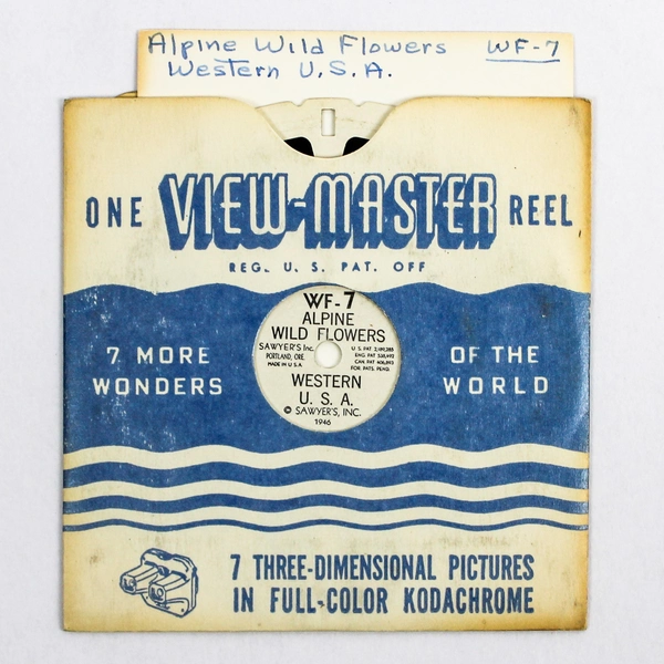 Vintage ViewMaster WF7 Alpine Wild Flowers 3D Slide - Good Condition