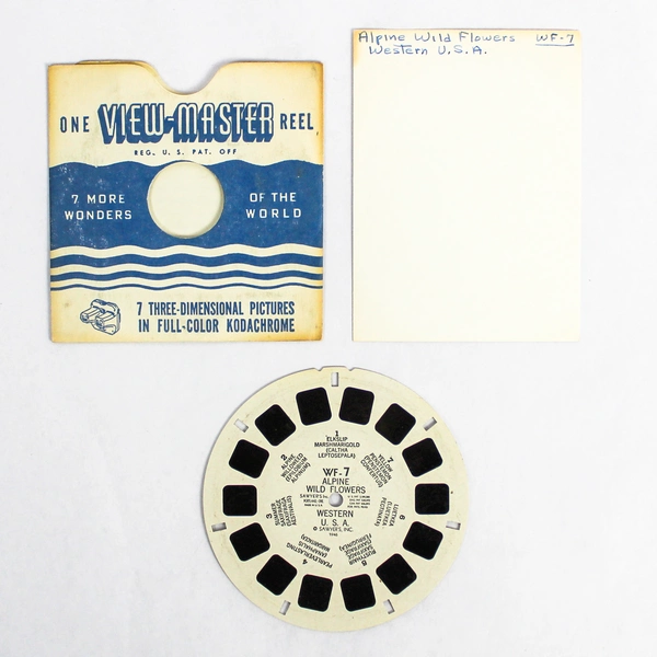 Vintage ViewMaster WF7 Alpine Wild Flowers 3D Slide - Good Condition