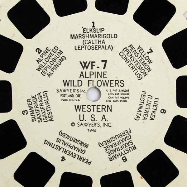 Vintage ViewMaster WF7 Alpine Wild Flowers 3D Slide - Good Condition