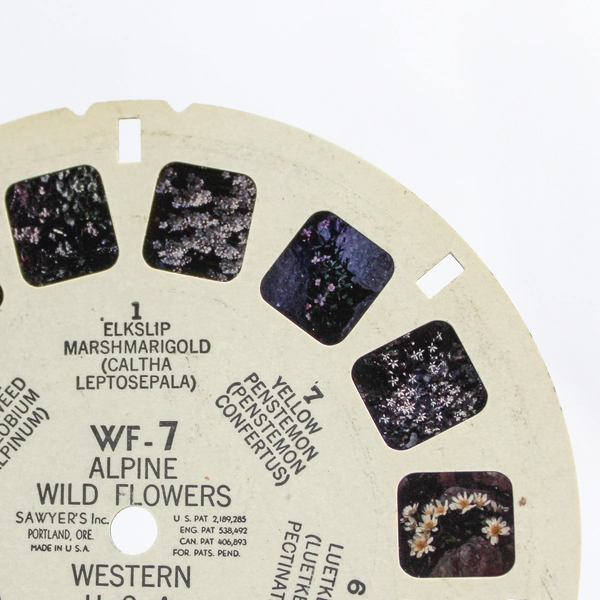 Vintage ViewMaster WF7 Alpine Wild Flowers 3D Slide - Good Condition