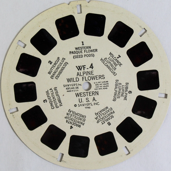 Vintage 1946 View Master WF4 Alpine Wild Flowers Reel Pre-Owned As-Is