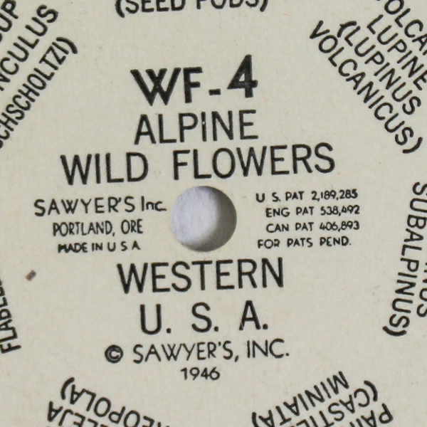 Vintage 1946 View Master WF4 Alpine Wild Flowers Reel Pre-Owned As-Is