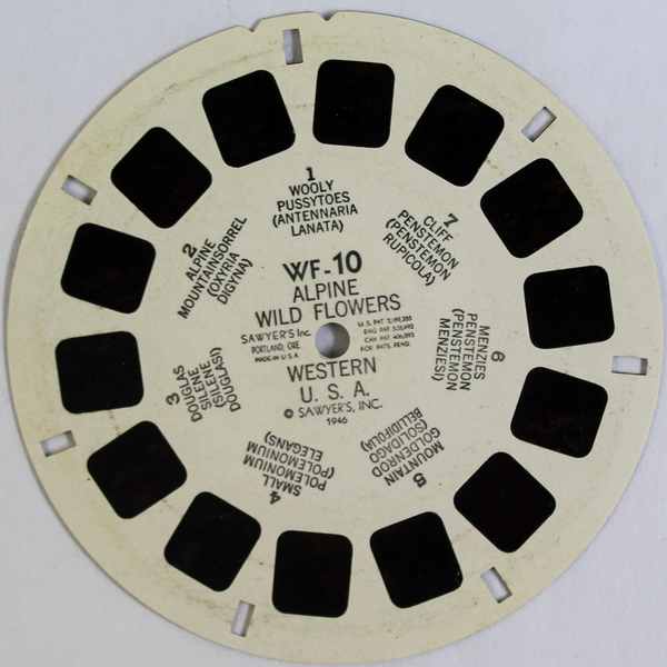 Vintage 1946 Sawyer's View Master WF10 Alpine Wild Flowers Western USA 