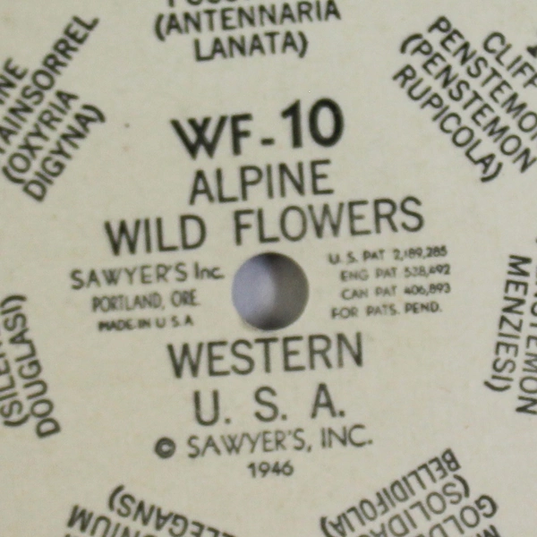Vintage 1946 Sawyer's View Master WF10 Alpine Wild Flowers Western USA 