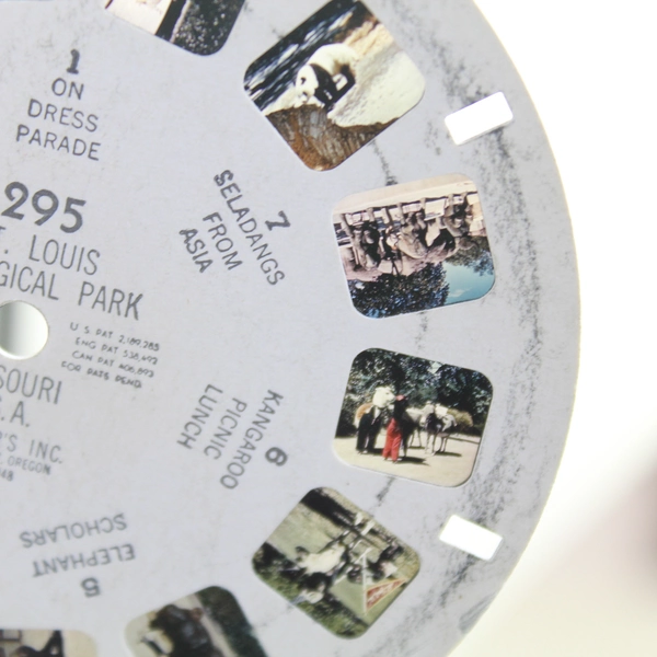 Vintage 1948 View Master Reel 295 St Louis Zoological Park Missouri USA