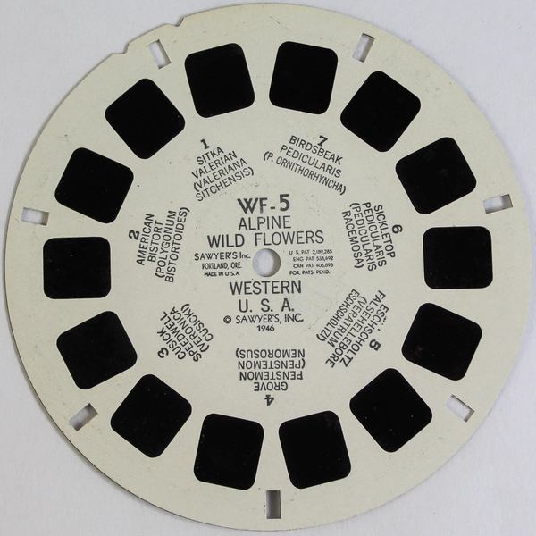 Vintage 1946 View-Master WF5 Alpine Wild Flowers Reel Pre-Owned
