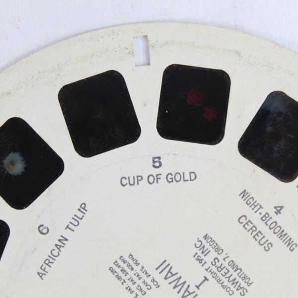 Vintage ViewMaster Reel 68 Flowers of Hawaii I 1951 Pre-Owned As-Is