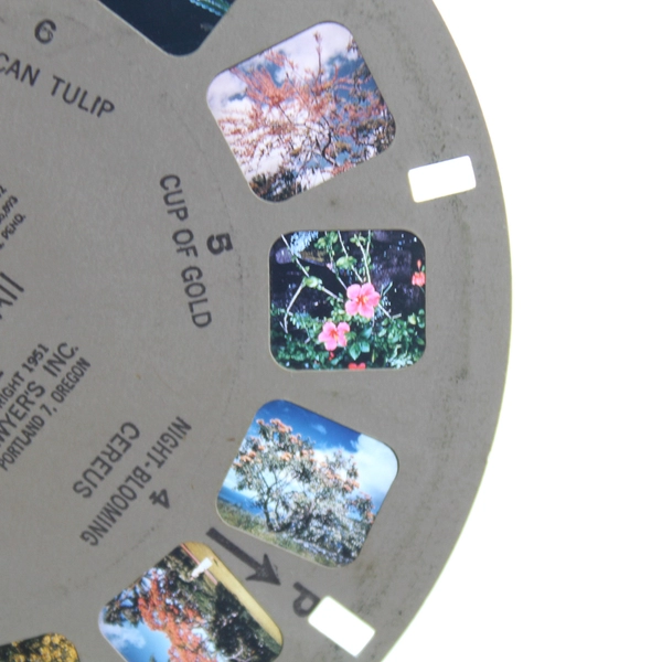 Vintage ViewMaster Reel 68 Flowers of Hawaii I 1951 Pre-Owned As-Is