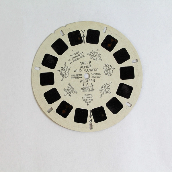 Vintage 1946 Sawyer's View Master WF2 Alpine Wild Flowers Western USA Reel