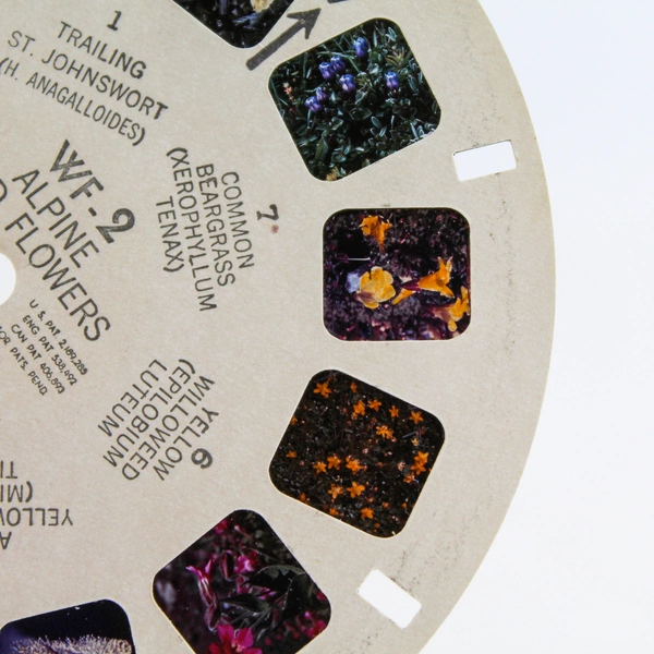 Vintage 1946 Sawyer's View Master WF2 Alpine Wild Flowers Western USA Reel