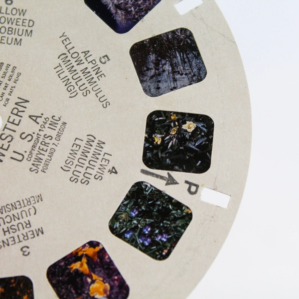 Vintage 1946 Sawyer's View Master WF2 Alpine Wild Flowers Western USA Reel