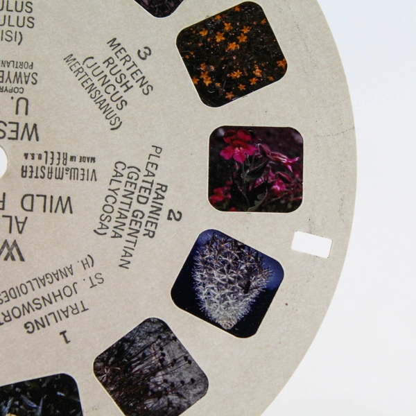 Vintage 1946 Sawyer's View Master WF2 Alpine Wild Flowers Western USA Reel