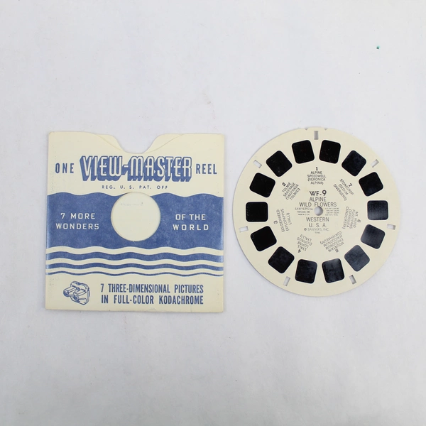 Vintage 1946 Sawyer's View Master WF9 Alpine Wild Flowers Western USA