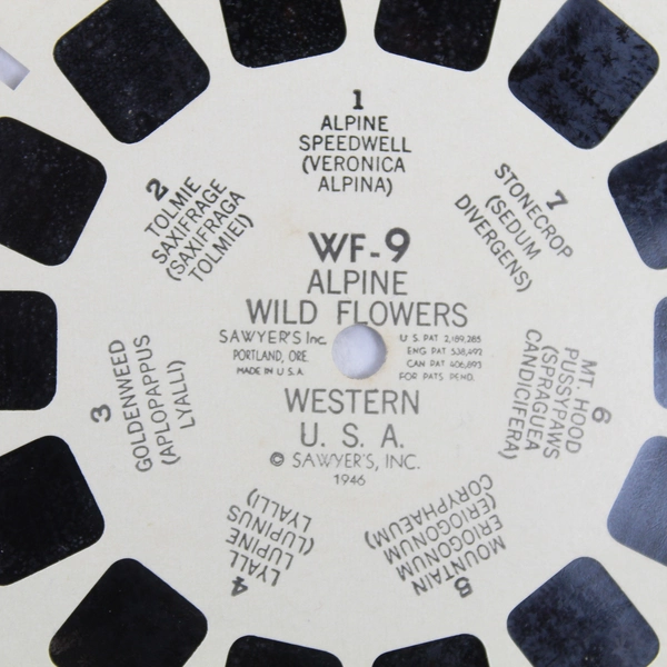 Vintage 1946 Sawyer's View Master WF9 Alpine Wild Flowers Western USA