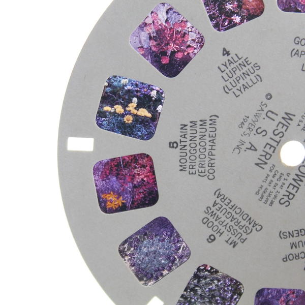 Vintage 1946 Sawyer's View Master WF9 Alpine Wild Flowers Western USA