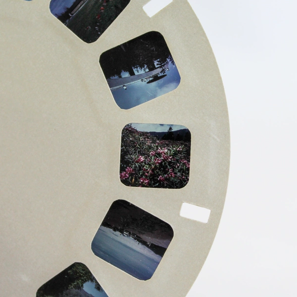 Vintage ViewMaster Reel A8891 Great Smoky Mountain National Park As-Is