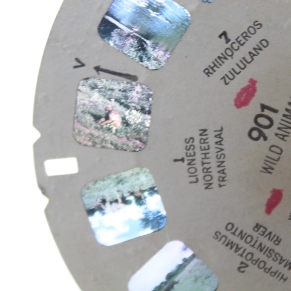 Vintage View-Master 901 Wild Animals Natural Habitats Africa 1948 Pre-Owned