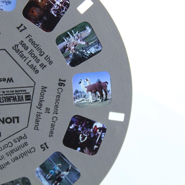 Vintage View-Master A9833 Lion Country Safari Reel 3 West Palm Beach