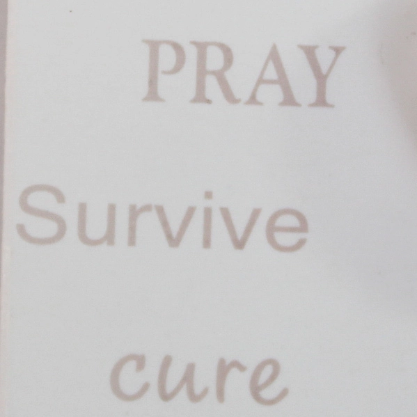 Roman Inc Pink Breast Cancer Awareness Ribbon Brooch Pin Jewelry Survivor