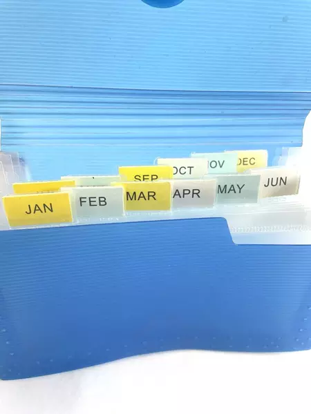 Lot of 2 Pre-Owned 13 Pocket Expanding Files for Receipts - Junior Size