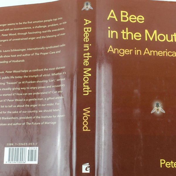 A Bee In The Mouth: Anger in America Now by Peter Wood, Hardcover 2006