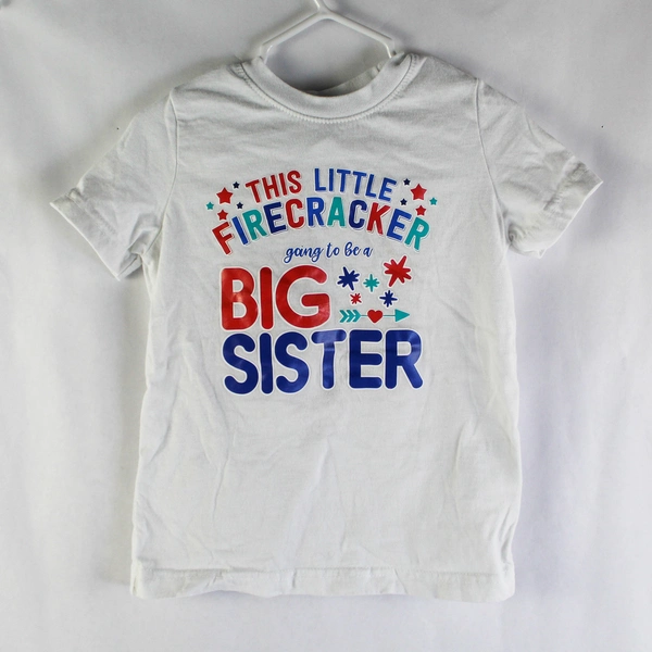 Lot of 2 Toddler Size 3 Big Sister T-Shirt & Ladybug Skort Red White Blue