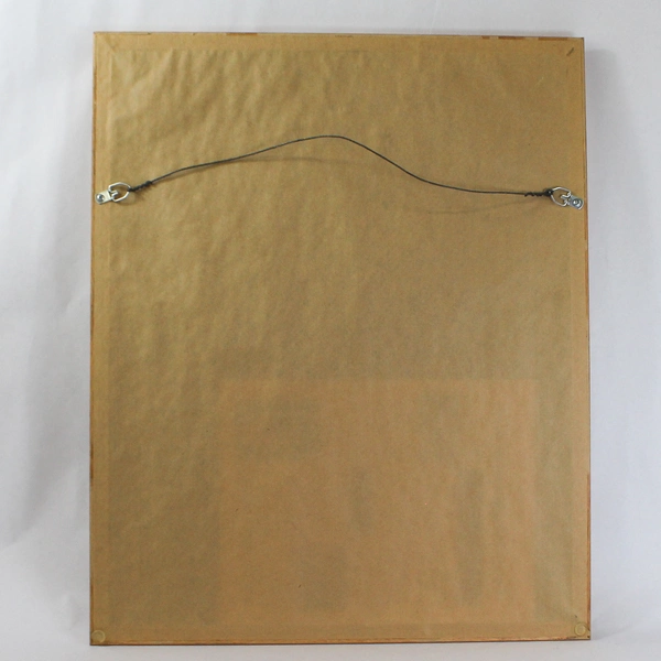 Newbold Signed Framed Matted Art Print Owls Of The United States And Canada