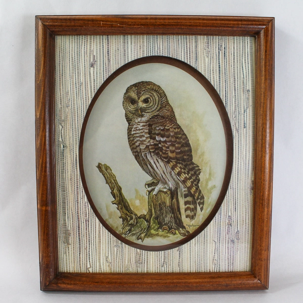 E Rambow Framed Matted Art Print Shadow Box Owl On Tree Stump Home Decor