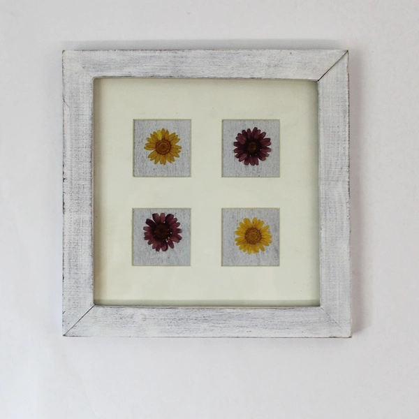 Framed Dried Flowers Wall Plaque - 7.25" Square - Vintage Decor