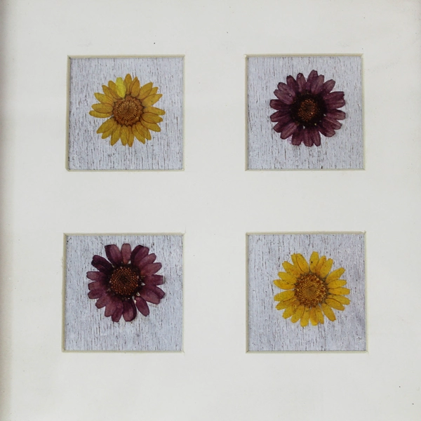 Framed Dried Flowers Wall Plaque - 7.25" Square - Vintage Decor