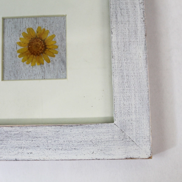 Framed Dried Flowers Wall Plaque - 7.25" Square - Vintage Decor