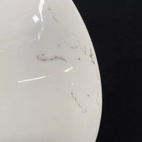 H&C Heinrich Rosalinda Pink Rose Vine Oval Vegetable Bowl 10.25"