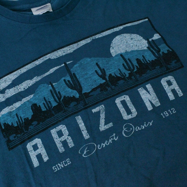 Delta Arizona T-Shirt Men's L Turquoise Short Sleeve Round Neck Vintage Style