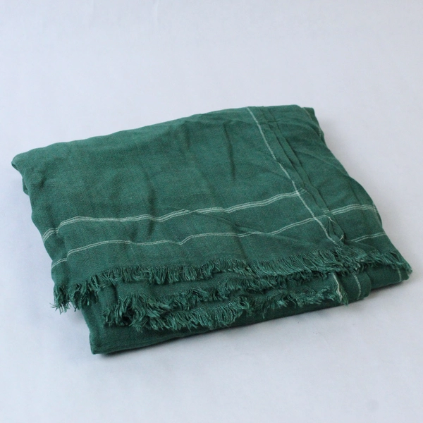 Green Stripe Trim Pattern Fringe Scarf Wrap Shawl - Fashion Accessory