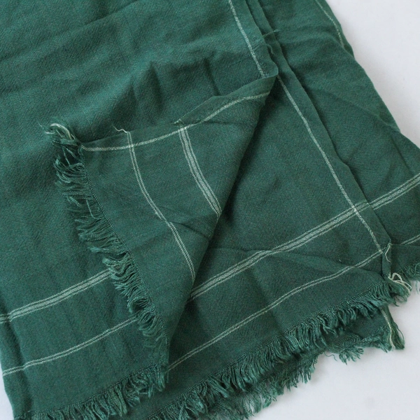 Green Stripe Trim Pattern Fringe Scarf Wrap Shawl - Fashion Accessory
