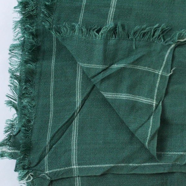 Green Stripe Trim Pattern Fringe Scarf Wrap Shawl - Fashion Accessory